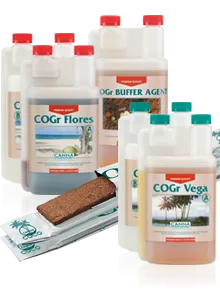 CANNA COGr products
