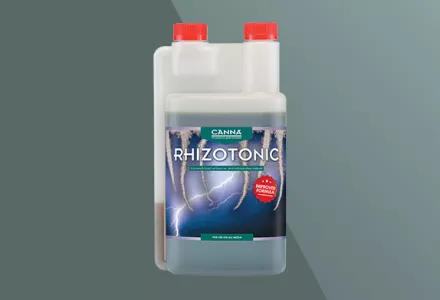 CANNA RHIZOTONIC